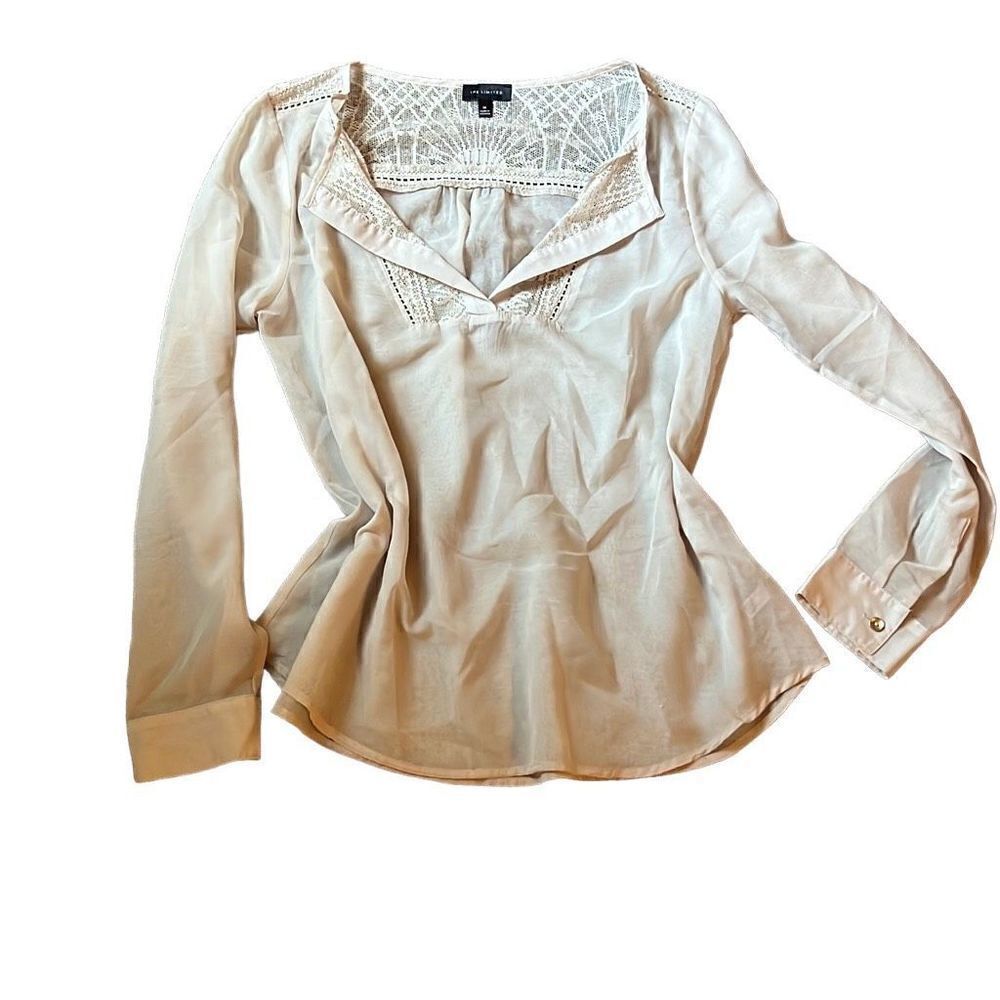The limited sheer dress blouse